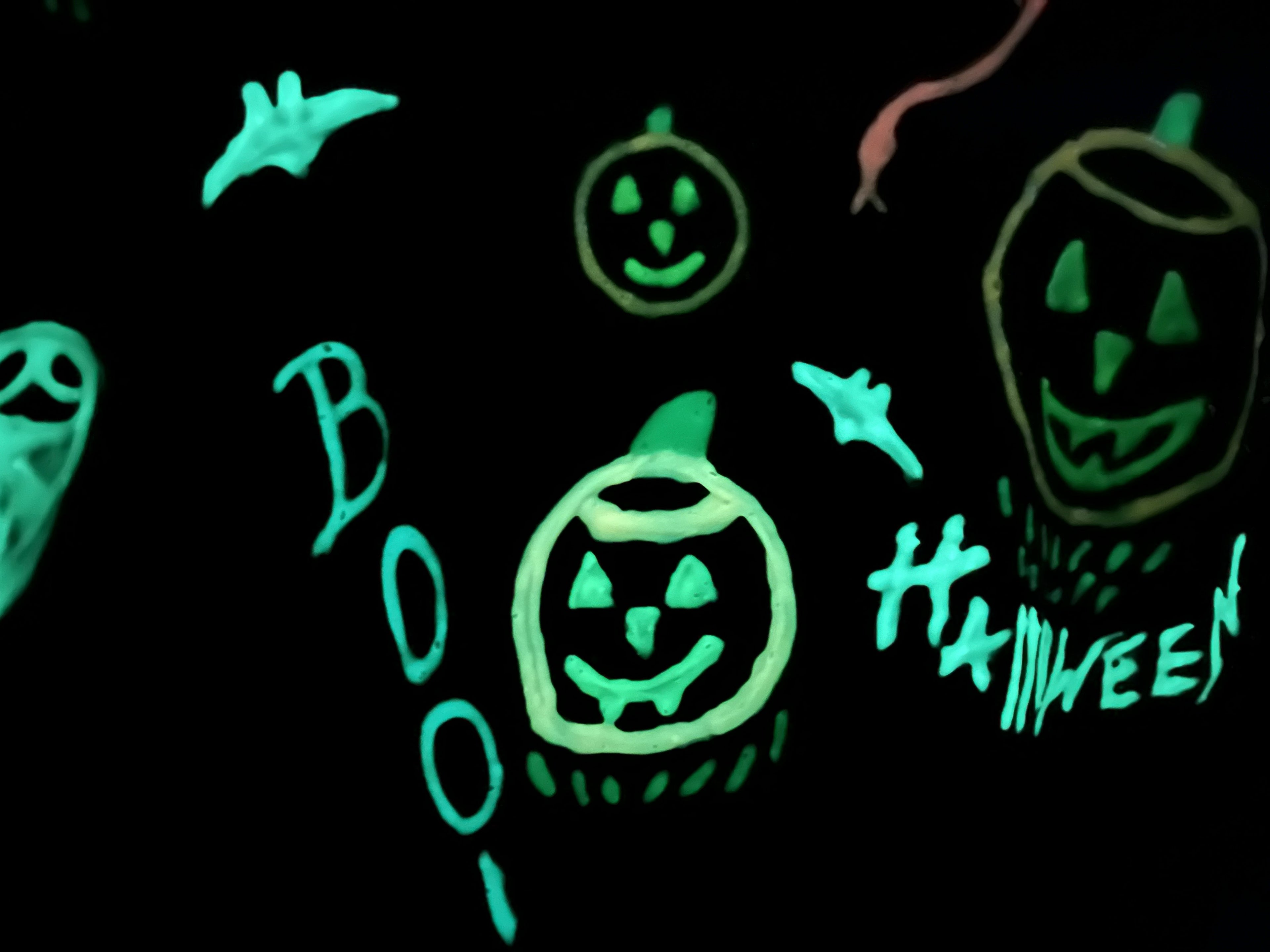 Get your Boo on! Halloween Bone 2 B Wild